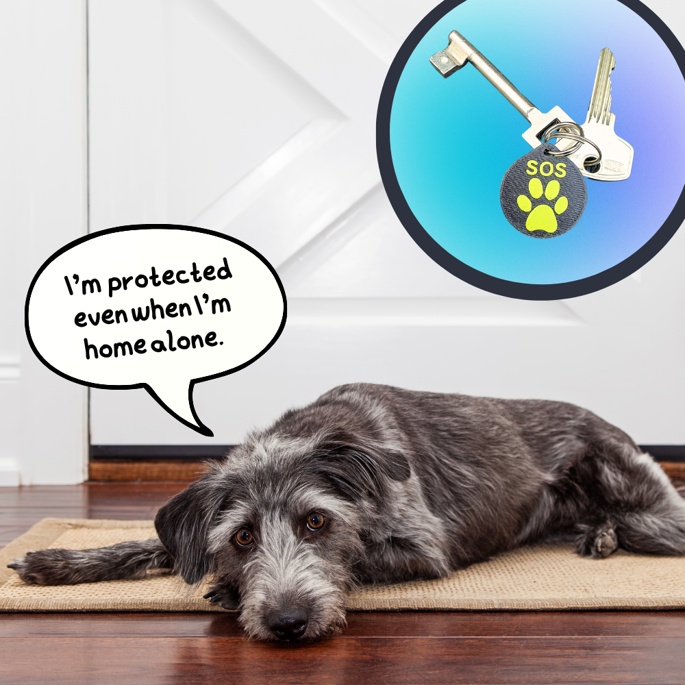 SOS Key Tag – So First Responders Know Your Dog Is Home Alone