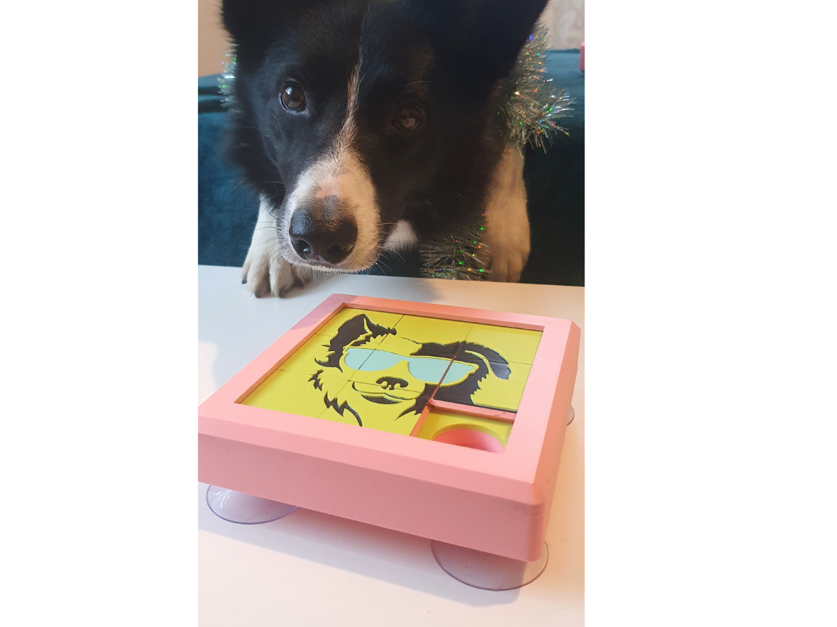 Slide & Snack Puzzle