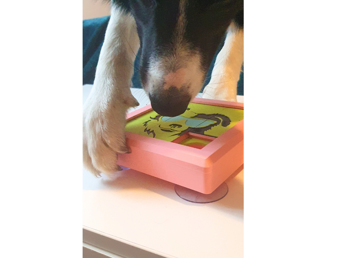 Slide & Snack Puzzle