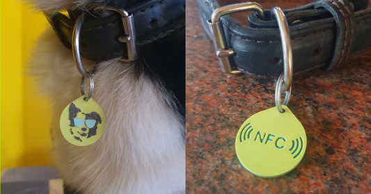 Everything You Need to Know About BrainyBrego Digital Pet Tags: Your Questions Answered