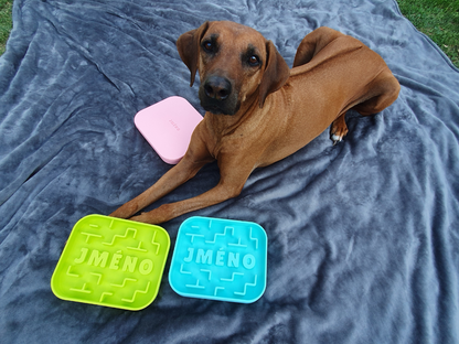 large dog laid on a blanket with 3 large puzzle bowls