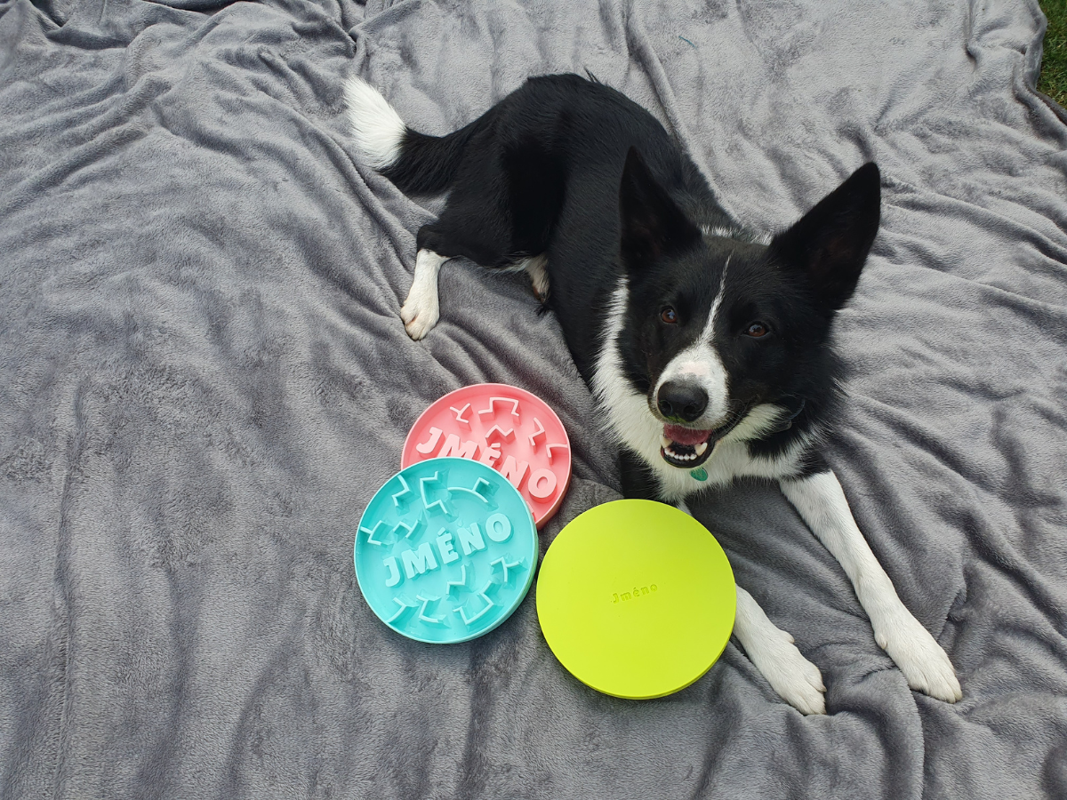 small dog (border collie) laid next to 3 puzzle expert bowls 