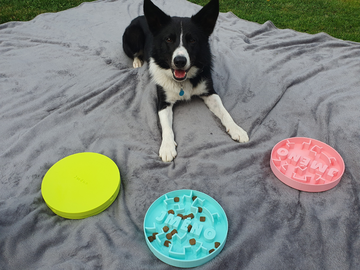 small dog (border collie) laid next to 3 puzzle expert bowls. One bowl is covered with lid, one is filled with kibble.